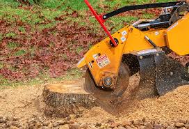 Lawn Watering Services in Mcminnville, TN